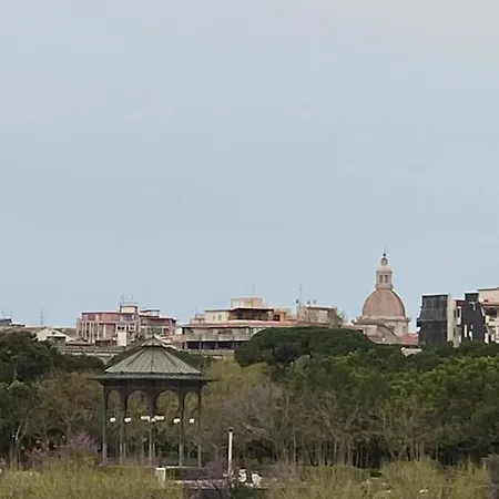 Papali 289
