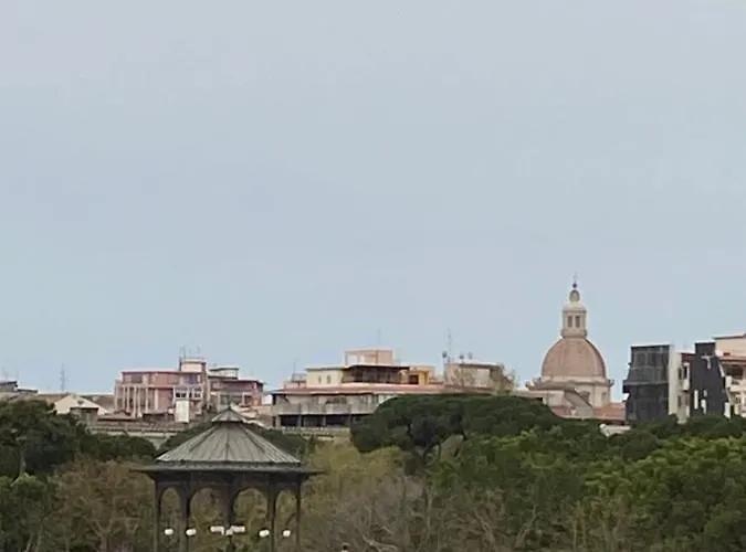 Papali 289