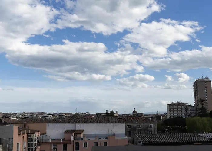 Papali 289 Катания